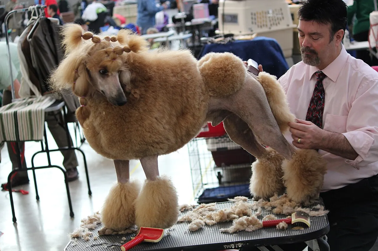 Estéticas caninas