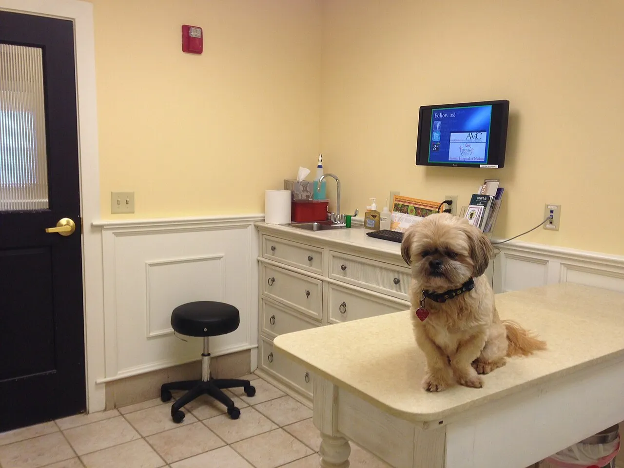 Veterinarias